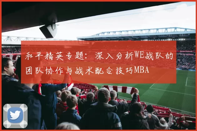 和平精英专题：深入分析WE战队的团队协作与战术配合技巧MBA