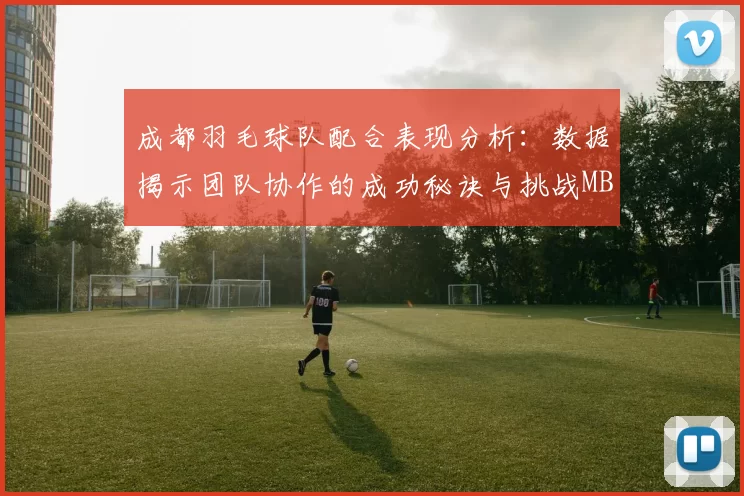 成都羽毛球队配合表现分析：数据揭示团队协作的成功秘诀与挑战MBA