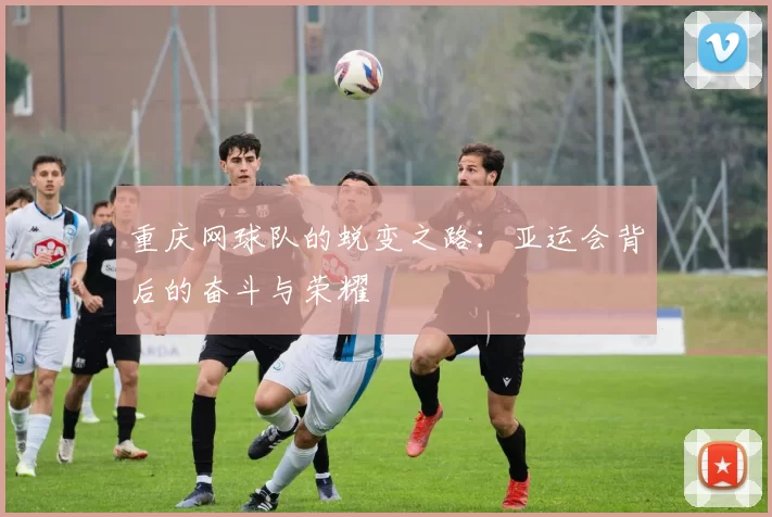 重庆网球队的蜕变之路：亚运会背后的奋斗与荣耀