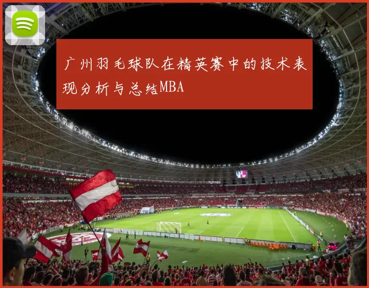 广州羽毛球队在精英赛中的技术表现分析与总结MBA