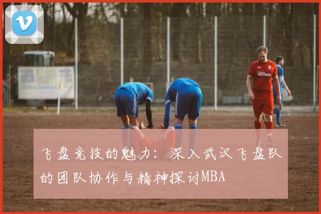 飞盘竞技的魅力：深入武汉飞盘队的团队协作与精神探讨MBA