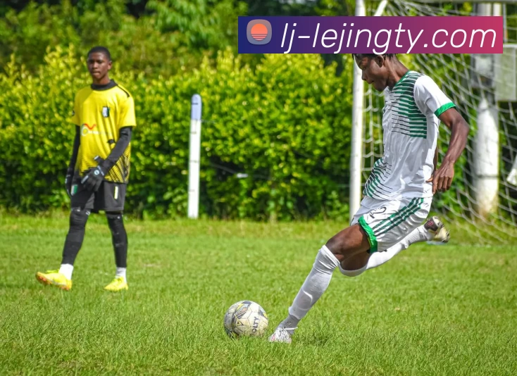 乐竞官网入口全站App